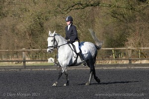 Novice 22